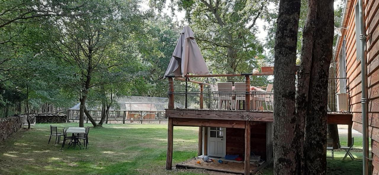Colibri Loc - Insolite - 3 Etoiles - Parc - Etang - Familles - Soiree Ok Brigne 外观 照片