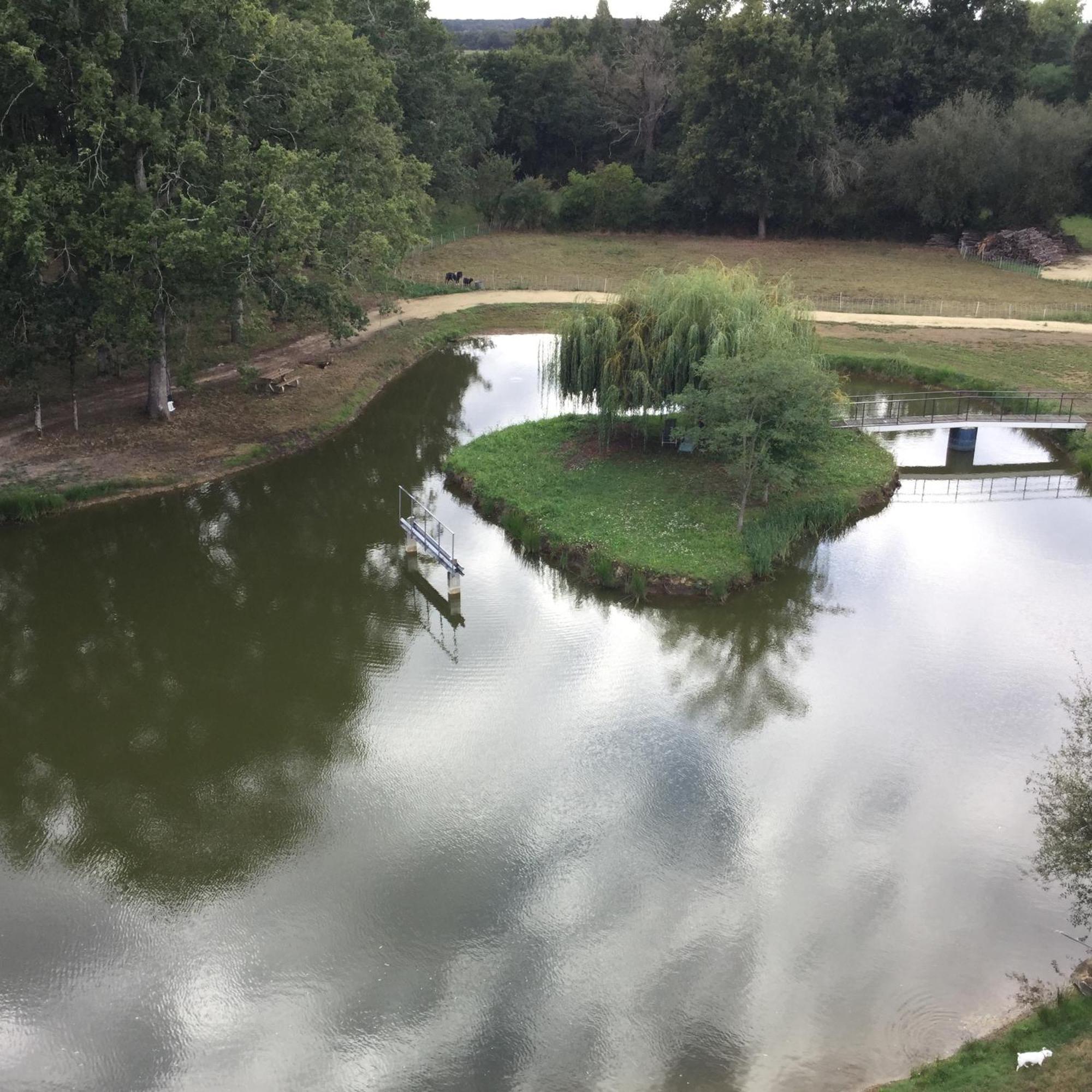 Colibri Loc - Insolite - 3 Etoiles - Parc - Etang - Familles - Soiree Ok Brigne 外观 照片