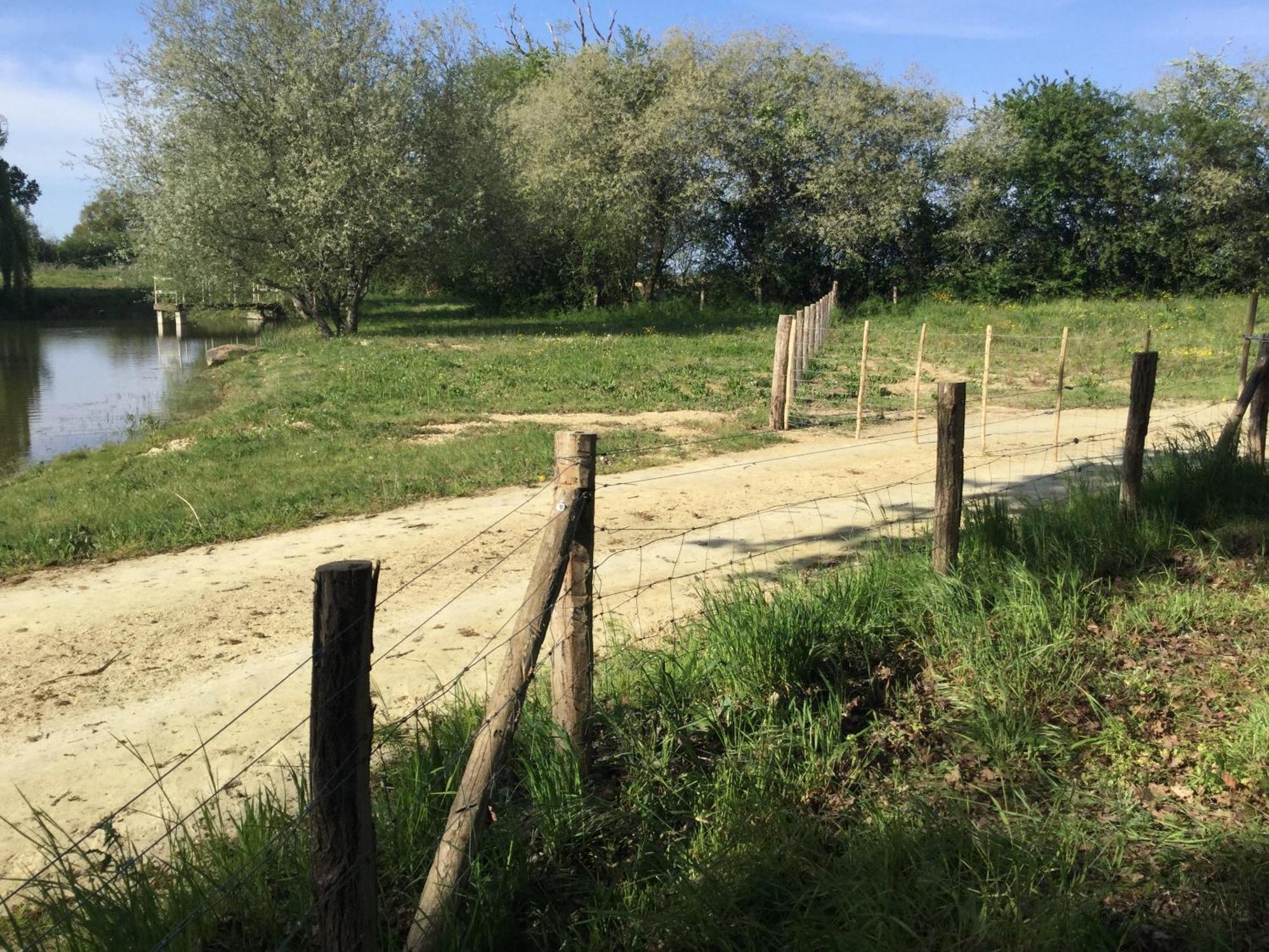 Colibri Loc - Insolite - 3 Etoiles - Parc - Etang - Familles - Soiree Ok Brigne 外观 照片