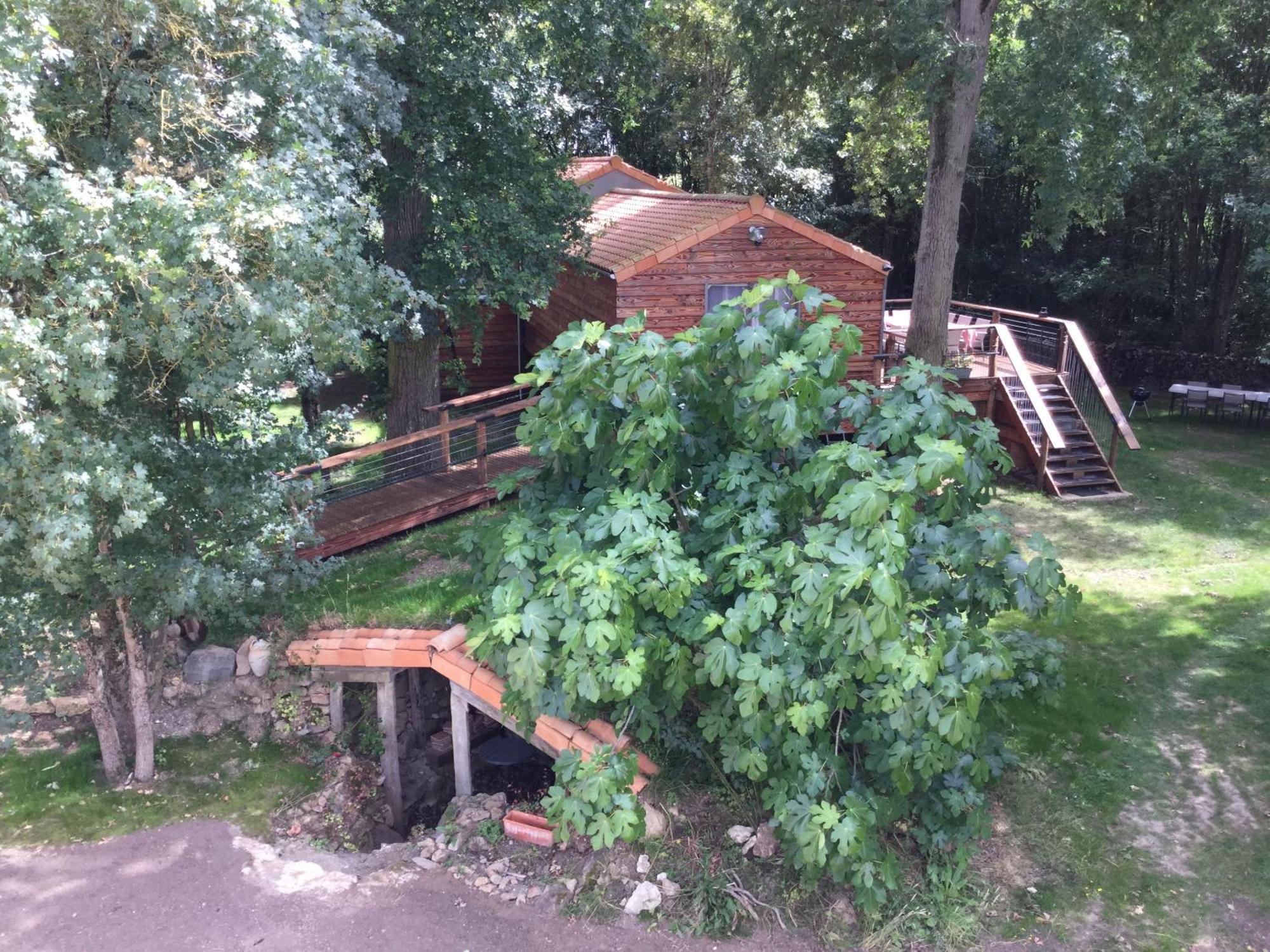 Colibri Loc - Insolite - 3 Etoiles - Parc - Etang - Familles - Soiree Ok Brigne 外观 照片